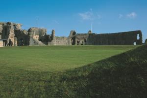 Denbigh Castle image 2
